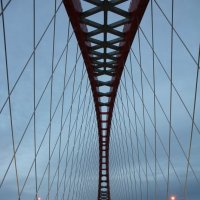 Бугринский мост :: Наталья Золотых-Сибирская