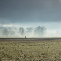 Ольга Дубовицкая - Начало дня :: Фотоконкурс Epson