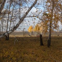 Поздняя осень 3. :: Kassen Kussulbaev