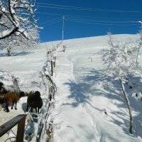 ЗИМА В ГОРАХ :: Виктор Осипчук