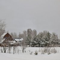 Запушило, замело... Деревенька в кругу лесов! :: Елена Солнечная