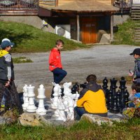 юные шахматисты :: Lika Light