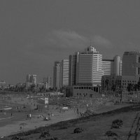 tel-aviv :: venera 