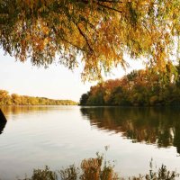 Река. Осень :: Екатерина Медведева
