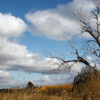 Унылая пора, очей очарованье.... :: Наталья Лаптова 