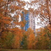 В городе осень :: Татьяна Ломтева