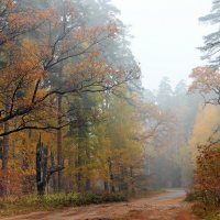 Осеннее дыхание тумана... :: Лесо-Вед (Баранов)