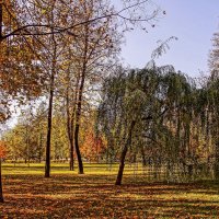 Осень :: Владимир Воробьев