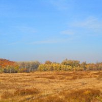 Есть в осени первоначальной Короткая, но дивная пора ... :: Галина Медведева