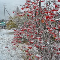 Первый снег :: Александр Преображенский 