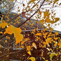 Дом и осень... Опадают последние листья... :: Елена Солнечная