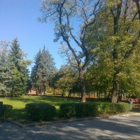 Осенний парк 2о14 :: Valeriya Voice