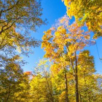 Colors of the Fall :: Vadim Raskin