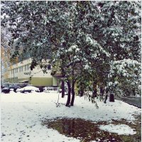 Первый снег. :: Владимир Валов
