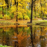 Аркадия :: Любовь Изоткина