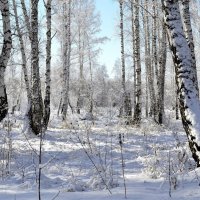 утро :: Виталий Городниченко