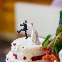 Свадебный торт :: Николай Хондогий