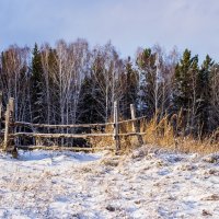 *** :: Валентин Жеребятников