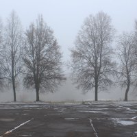 туман :: Илья 