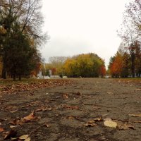Дорога в осень :: Алёна Naru-chan