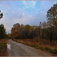 Дорога в осень. :: Владимир Михайлович Дадочкин