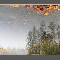 в отражении - Осень :: Надежда Ерыкалина