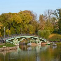 Правобережный мост в Царицыно. :: Ольга 