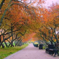 В осеннем парке. :: Маргарита ( Марта ) Дрожжина