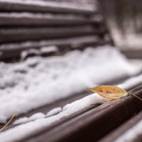 Одиночество :: Светлана Торгашева