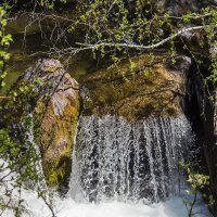 Чистейшая вода :: Ольга Волкова