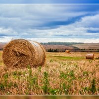 Рулон :: Юрий Глушков