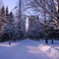 В гостях у зимней королевы :: Элен .