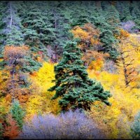 Осень :: AVETIS GHAZANCHYAN