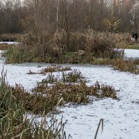 ПЕРВЫЙ ледниковый период. :: Яков Реймер