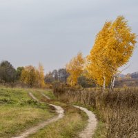 Ненастный день :: Алексей Окунеев