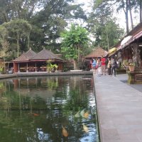 Bali :: Yevgeniya Lucky