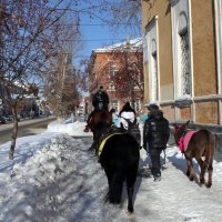 Лошадка и пони идут в зоопарк катать детишек. :: Пётр Сесекин