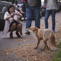 Ну снимай, я улыбнусь, :: Виталий Латышонок