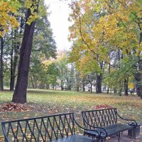 Осень в парке. :: Ирина 
