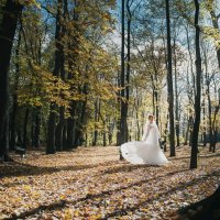 Осень и невеста... :: Батик Табуев