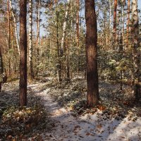 Первый снег :: Photo-tur.ru 