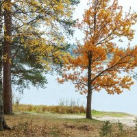 Осенние краски озера Поддубское :: Евгений 