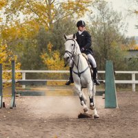 Конь мой, конь мой, - удивленье!  Как красив волшебный бег! :: Надежда Корнилова
