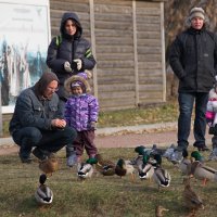 Воскресенье в Коломенском. :: Юрий Шувалов