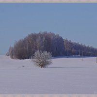 ...... :: павел Труханов