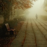 Погружаясь в туман :: Сергей Буйна