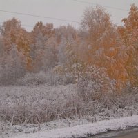 Ранний снег :: Василий Данило