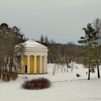 Зима в Павловском парке :: Олег Попков