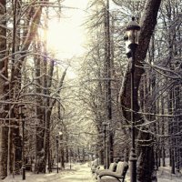 Аллея к Kuźnice - Zakopane :: Pavel Nazarenko