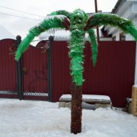 пальма под снегом :: ольга кривашеева